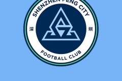 中超积分榜风云：蓉城海港领跑，申花紧追，保级战悬念迭起